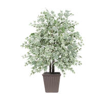 4' Silver Maple Bush Square Brown Cont