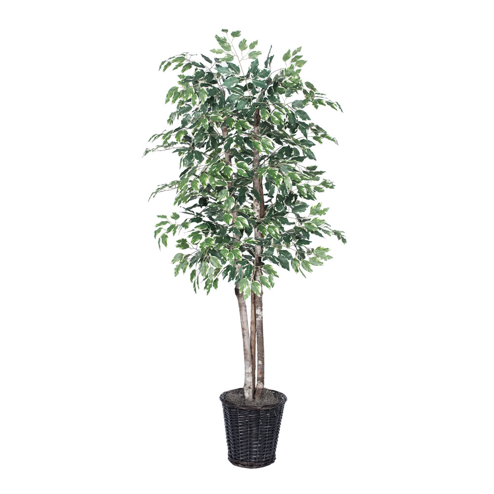 Vickerman Artificial Variegated Ficus Series