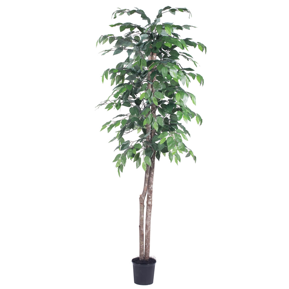 Vickerman Artificial 6' Ficus Potted Tree