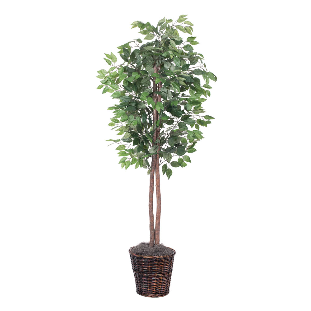 Vickerman Artificial 6' Ficus Potted Tree