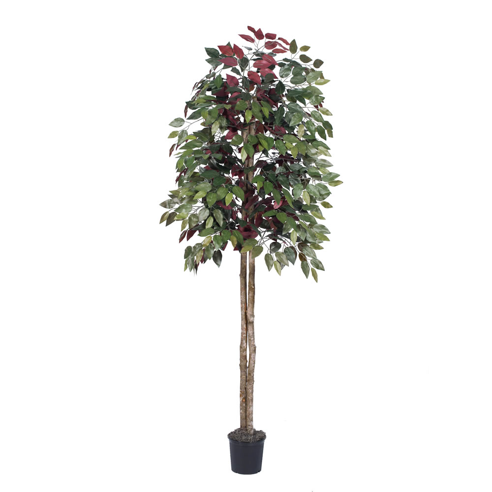 Vickerman Artificial 6' Capensia Potted Tree