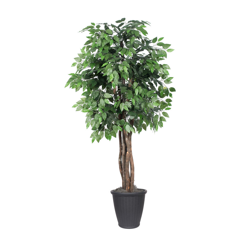 Vickerman Artificial Ficus Executive Potted Tree