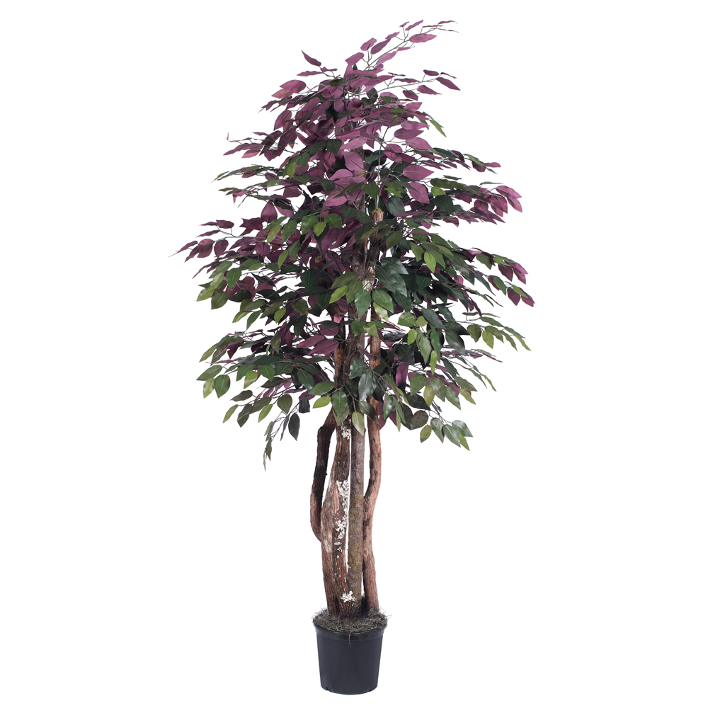 Vickerman Artificial Capensia Executive Potted Tree