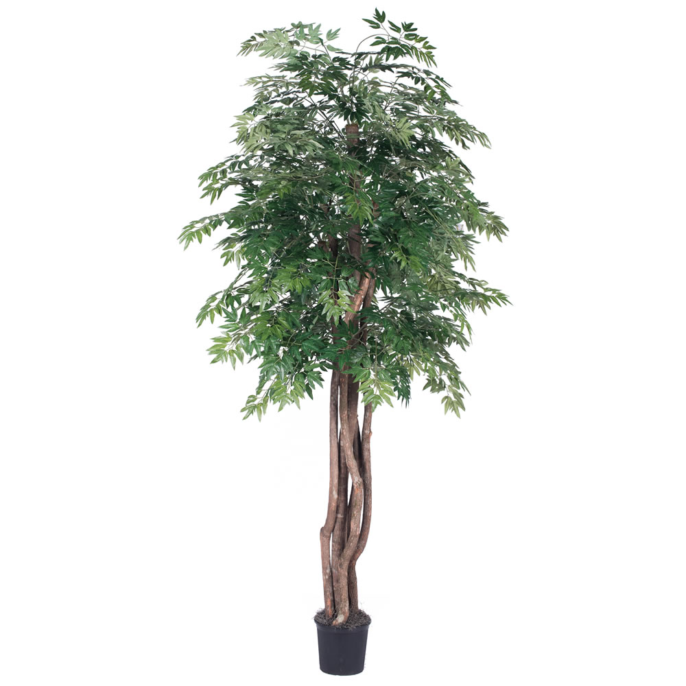 Vickerman Artificial Ming Aralia Extra Full Series
