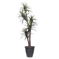 Vickerman Artificial Marginata Extra Full Series