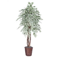 Vickerman Artificial Silver Maple Extra Full Series