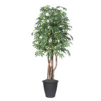 Vickerman Artificial Japanese Maple Extra Full Series