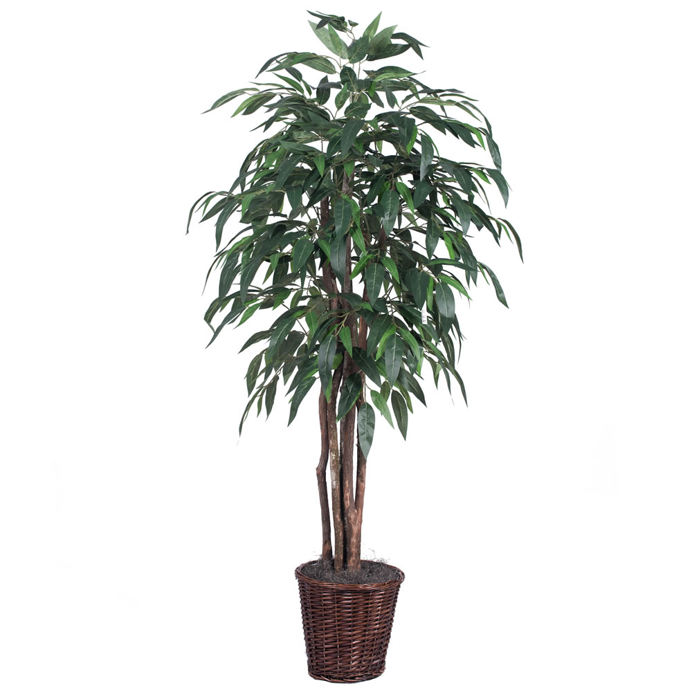 Vickerman Artificial Mango Extra Full Series