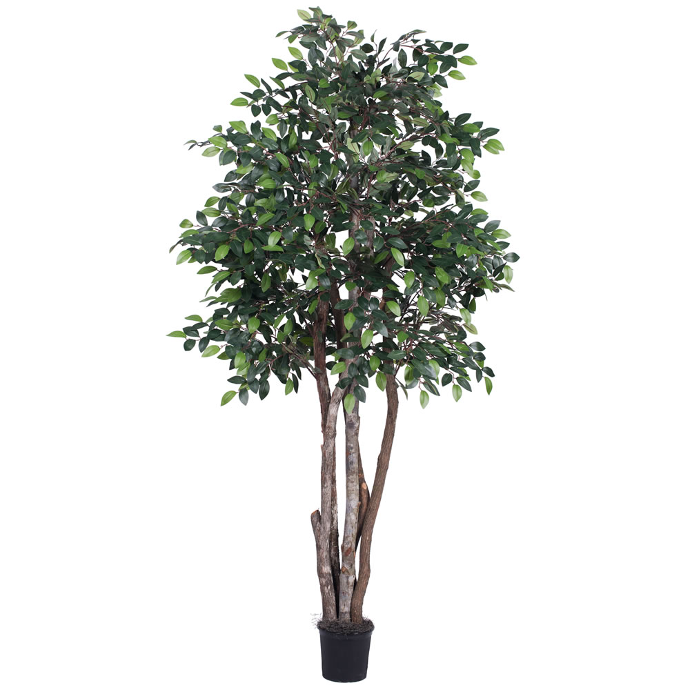 Vickerman Artificial Mini Ficus Extra Full Series