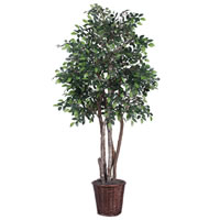 Vickerman Artificial Mini Ficus Extra Full Series