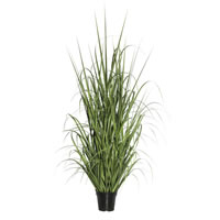 60" Green Ryegrass in Pot