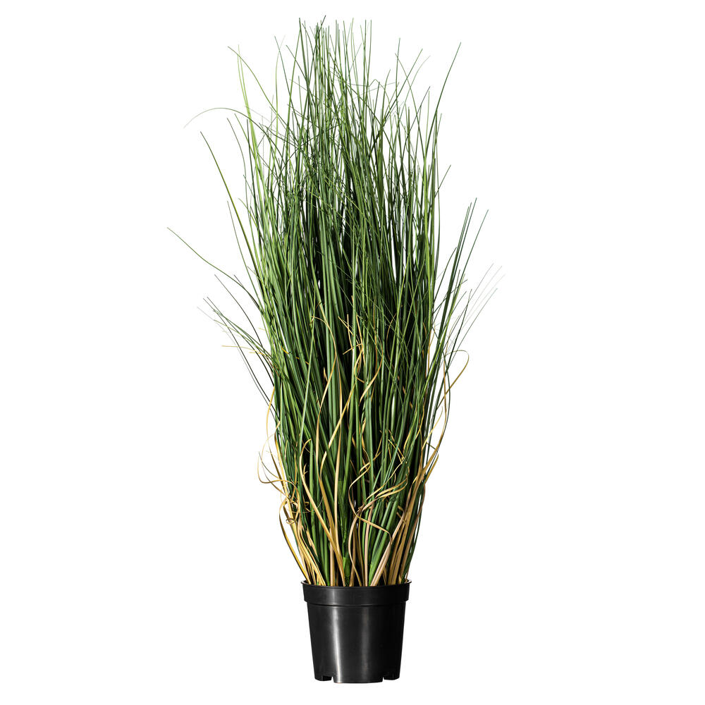 Vickerman Artificial Green Curled Grass
