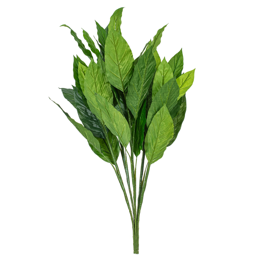 3' Spathiphyllum Plant X 5 W/40 Lvs