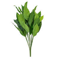 3' Spathiphyllum Plant X 5 W/40 Lvs