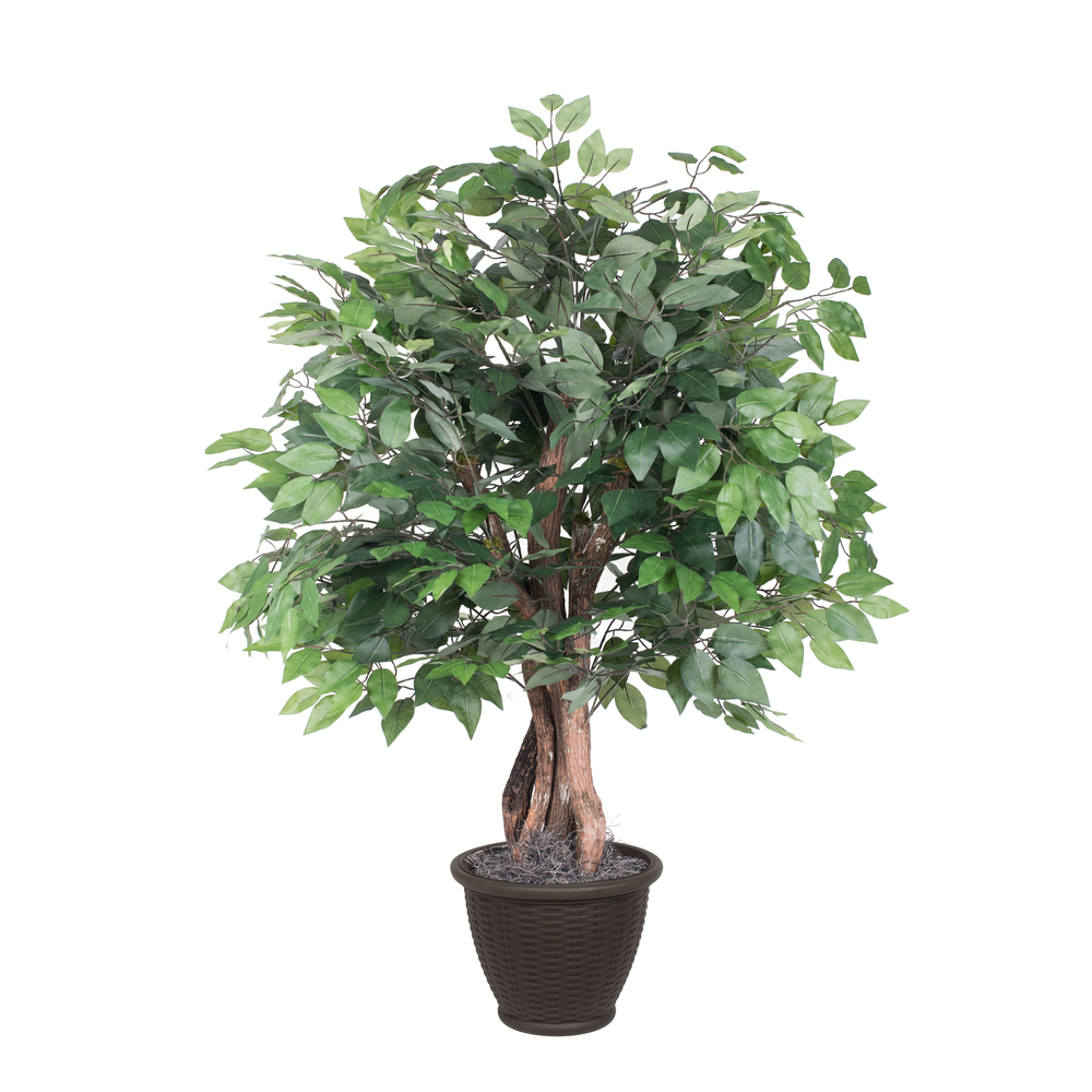 Vickerman Artificial Ficus Executive Potted Tree