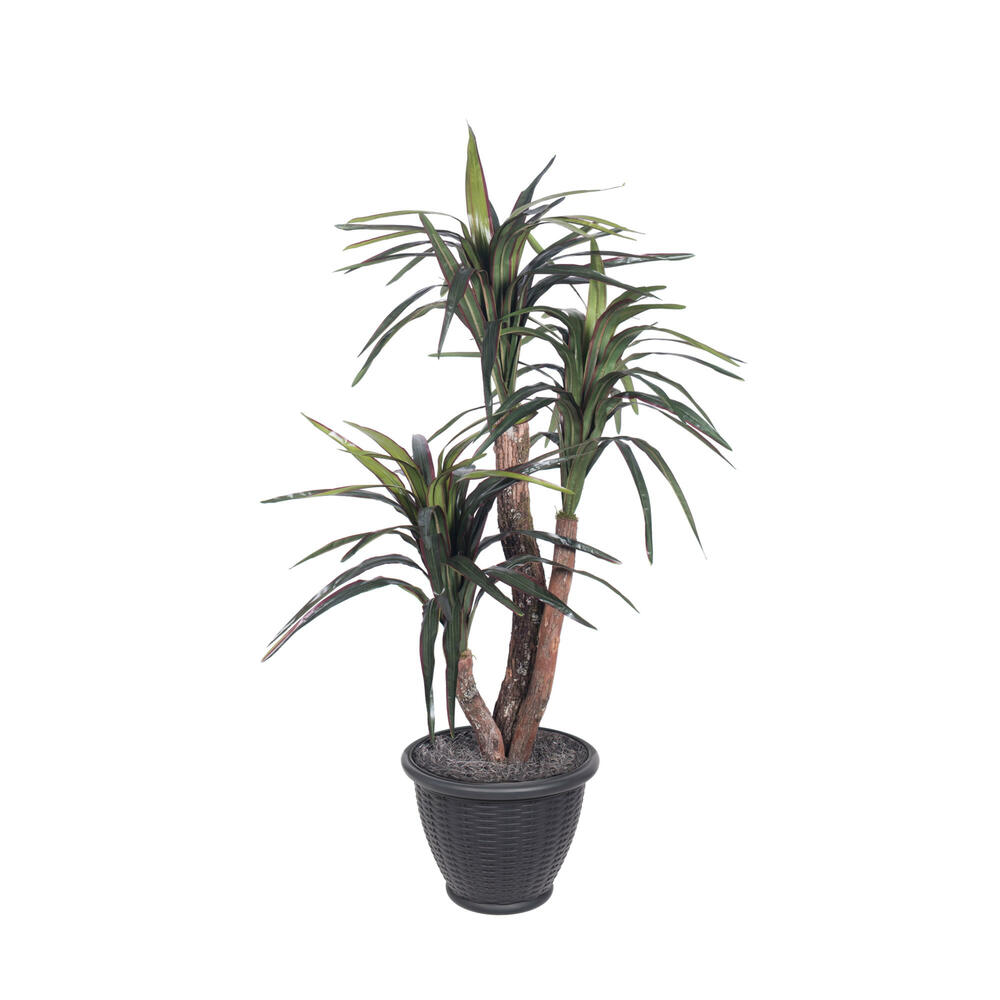 Vickerman Artificial Marginata Extra Full Series