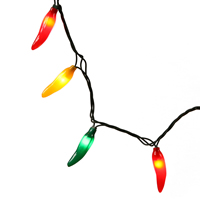 Vickerman Chili Pepper Novelty Light