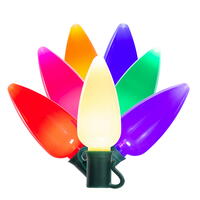 Vickerman Ceramic C9 LED Light on Wire