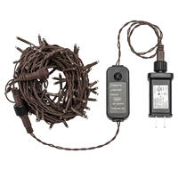 144Lt Wmwht 2F Spider Set, 24' Long