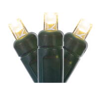 100Lt LED WmWt/GW WA EC Set  34'L