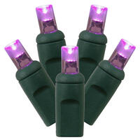 Vickerman Single Mold Wide Angle Green Wire LED Christmas light set, Poly Bag