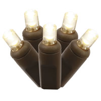 50Lt LED WmWht Twinkle WA Bw 6"Sp 25'L 