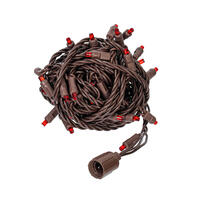 Vickerman Single Mold Wide Angle LED Christmas Light Set, Wire Poly Bag