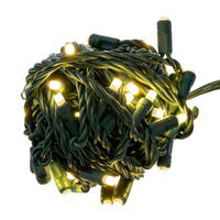 50Lt Frosted LED WW-Twkle/Gw WA Coax Set