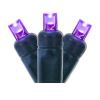 50Lt LED Purple Twinkle W-A EC 6"Sp 25'L