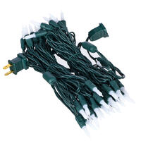 Vickerman Italian LED Single Mold Green Wire Christmas Light Set, Poly Bag