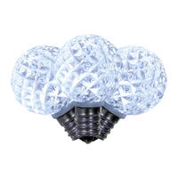 Vickerman G30 Faceted LED Replacement Bulbs 25 per Box