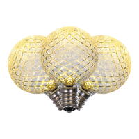 Vickerman G40 Faceted LED Replacement Bulbs 25 per Box