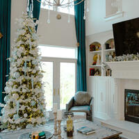 Baby Blue Champaign Tree