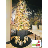 Tropical Christmas