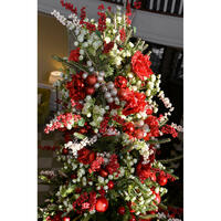 Edgeworth Club Christmas
