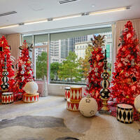 Whimsical Christmas Experience