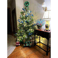 Blue Villa for Winfield Farms Manor