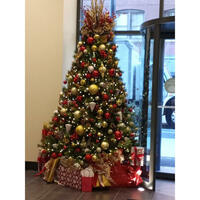 Chicagoland Christmas