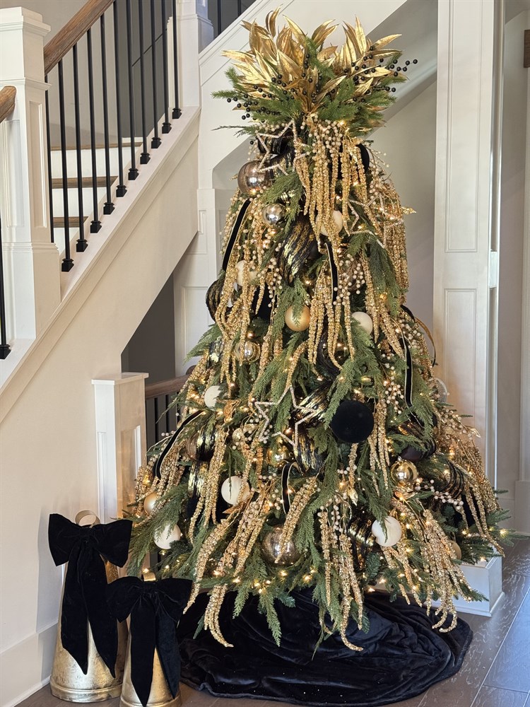 Gold Amaranthus Tree
