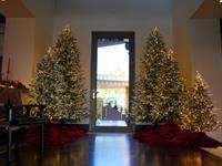 Stacy Del Zotto Christmas Residential Install