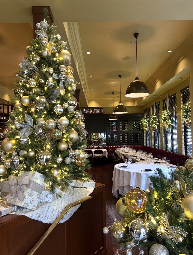 Christmas Elegance