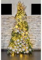 Wally Tree