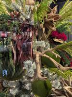 Woodland Luxe
