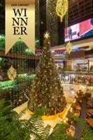 Christmas At the Mall