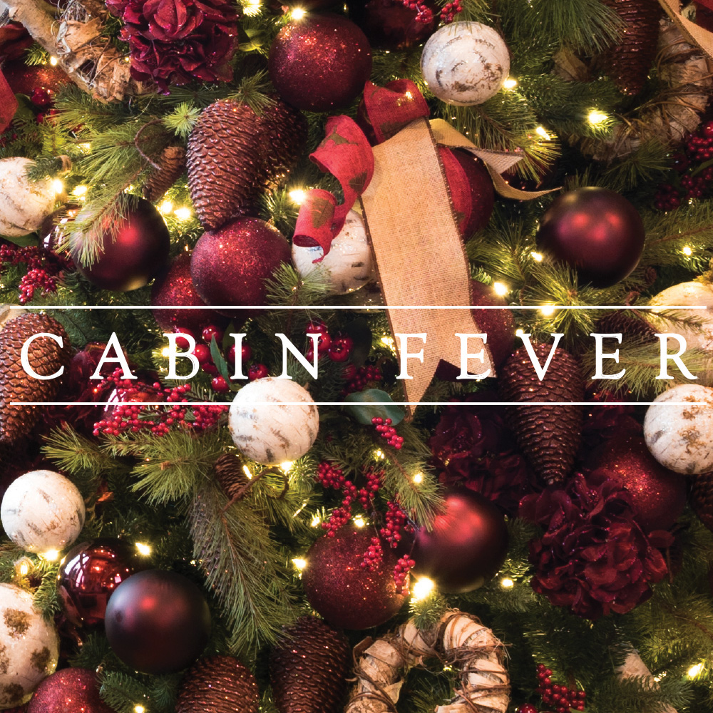 Cabin Fever