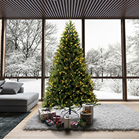 Tiffany Fraser Christmas tree in room