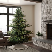 Sherwood Fir Christmas tree in room