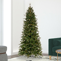 Douglas Slim Christmas tree in room