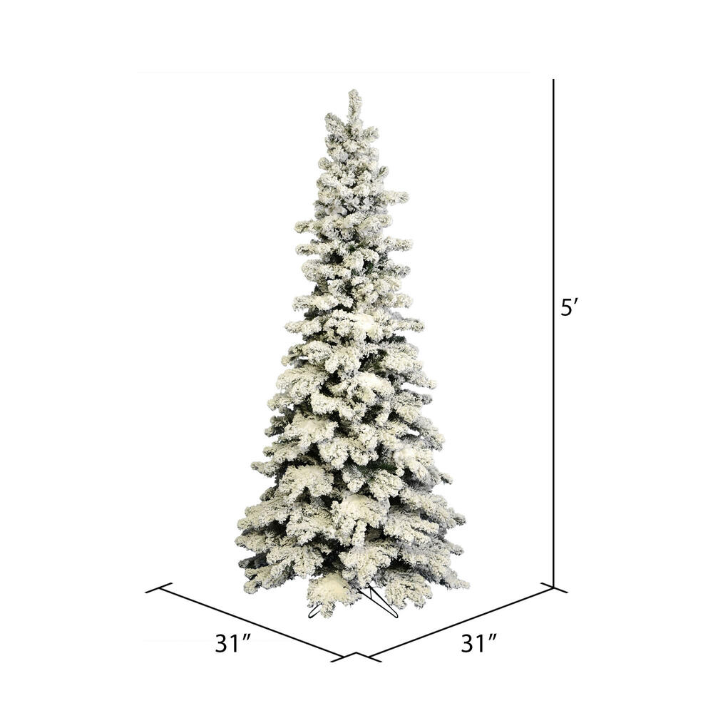 5' x 31