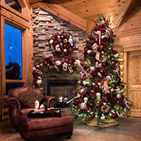 Picture of Cabin Fever